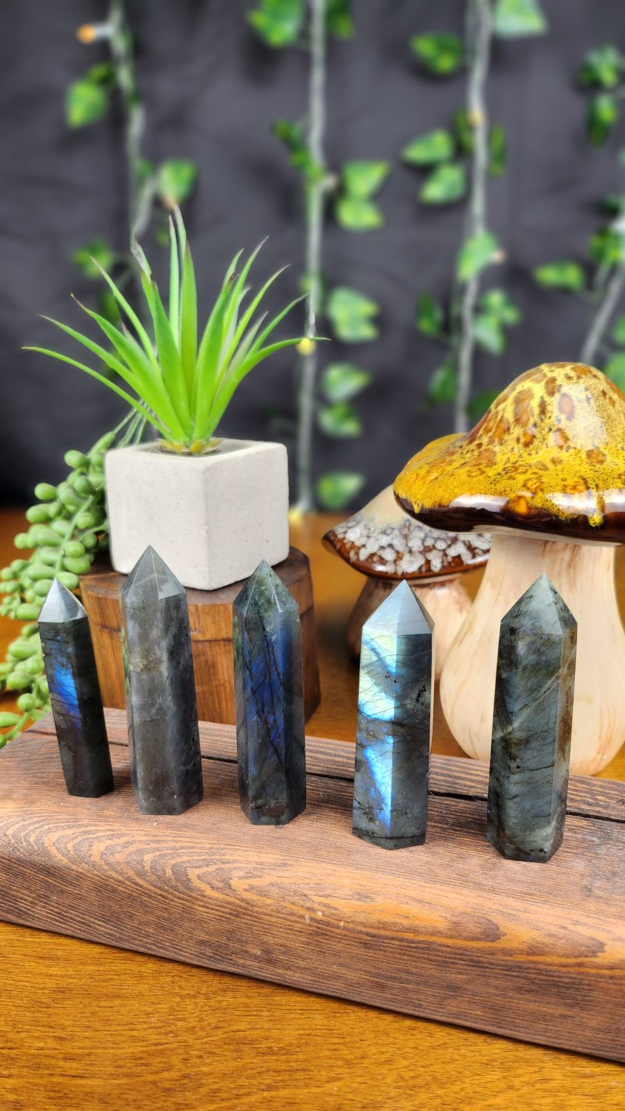 Labradorite crystal points for sale at Haze-Jayne