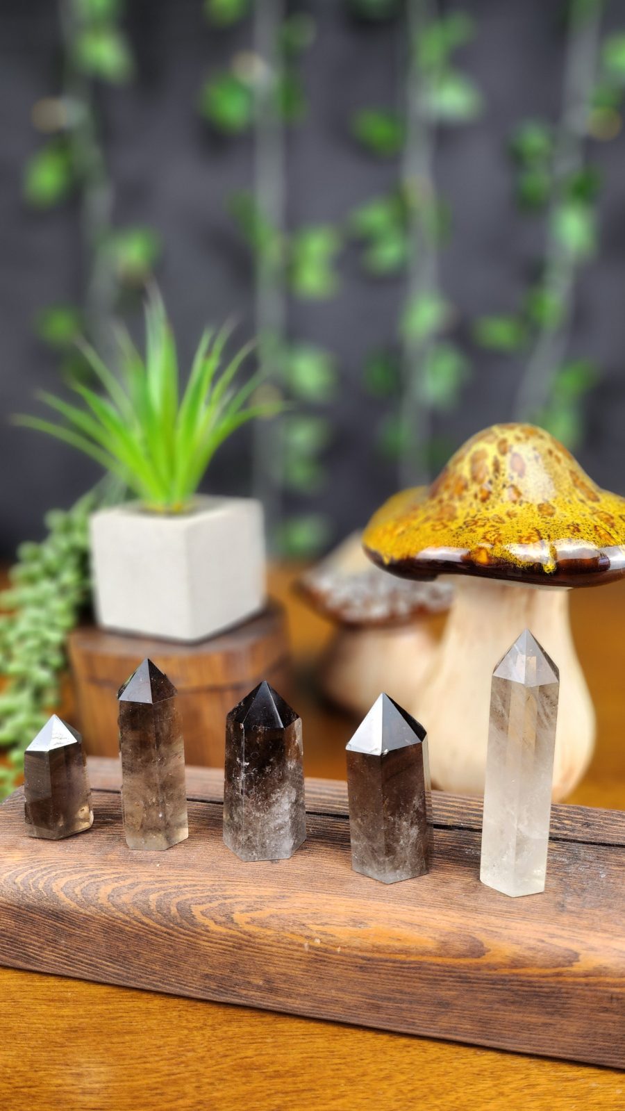 Smokey Quartz points crystals for sale at Hazel-Jayne.